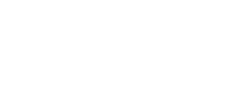 Nomad Capitalist